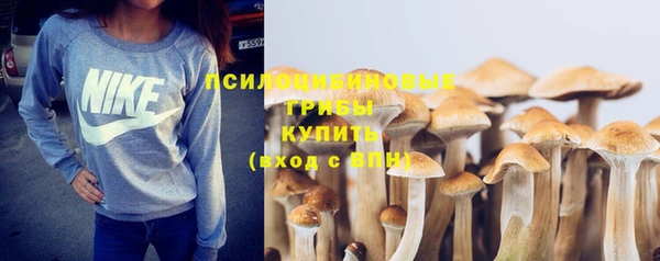 трава Баксан
