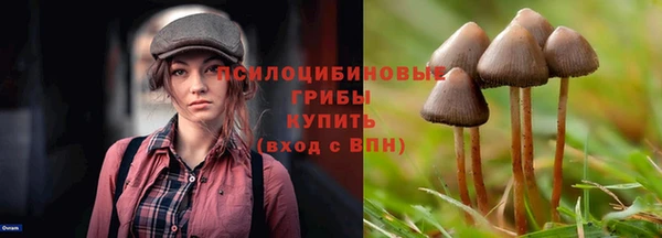 трава Баксан