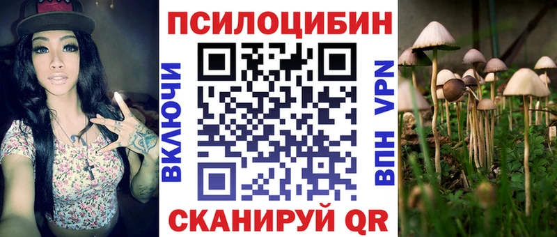 Галлюциногенные грибы Psilocybe  Спасск-Дальний 