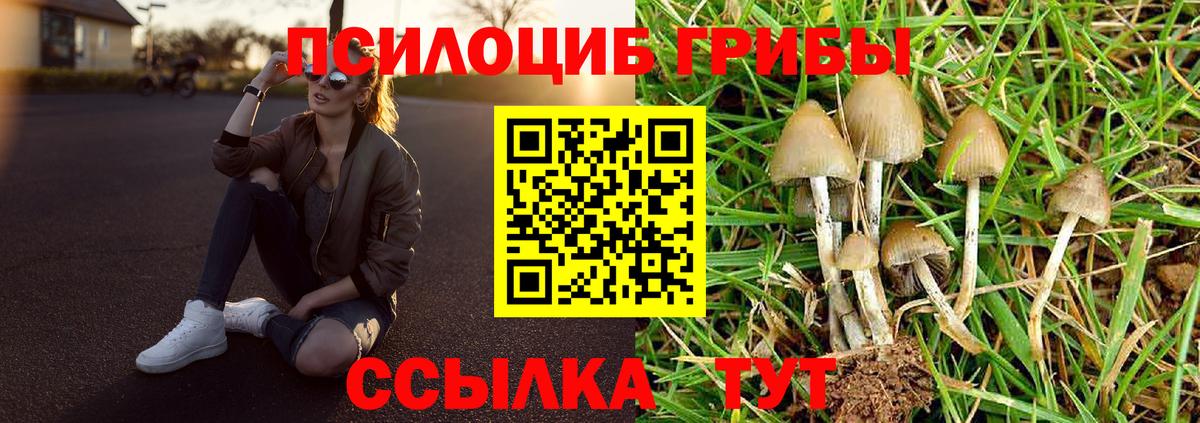 Галлюциногенные грибы прущие грибы Спасск-Дальний